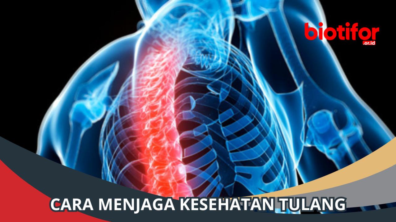 Cara Menjaga Kesehatan Tulang dan Otot Sejak Usia Muda