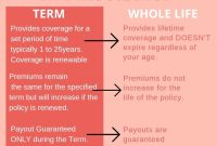 What Is The Difference Between Term Life Insurance And Whole ...