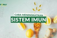 Cara Meningkatkan Sistem Imun Tubuh - YouTube