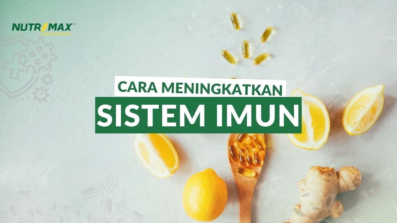 Cara Meningkatkan Sistem Imun Tubuh - YouTube