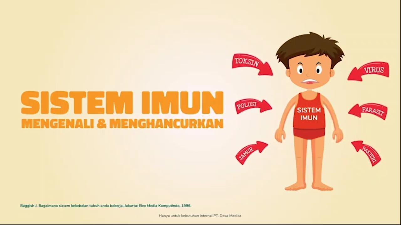 Apa Yang Harus Dimakan Untuk Meningkatkan Sistem Imun
